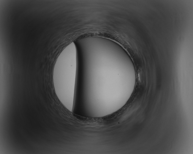 X0000098101347200804040738