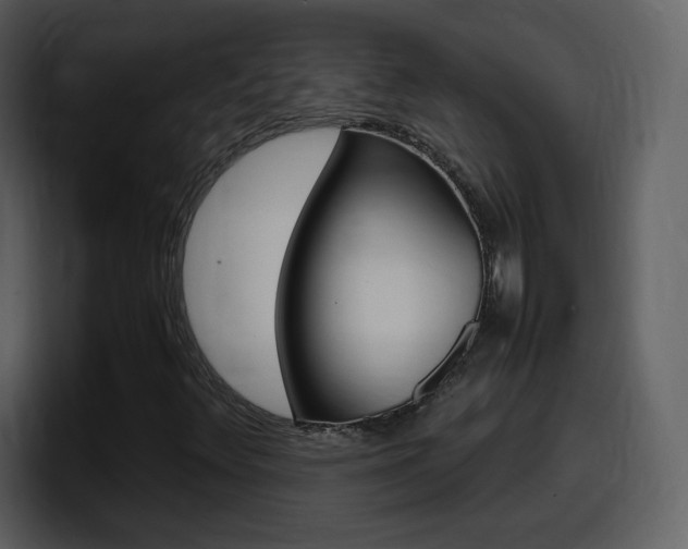X0000098101348200804040738