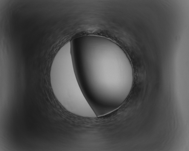 X0000098101349200804040738