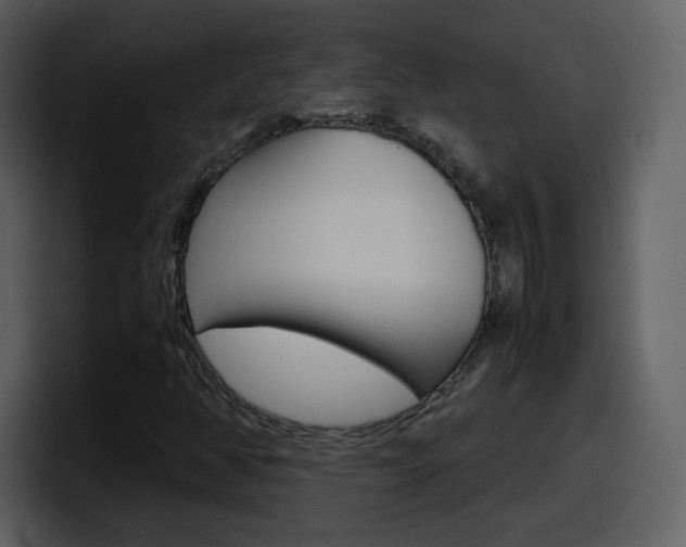 X0000098101350200804040738