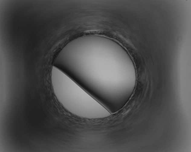 X0000098101351200804040738