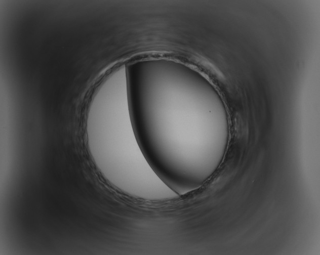 X0000098101352200804040738