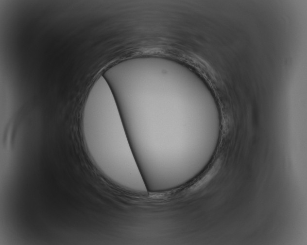 X0000098101353200804040738