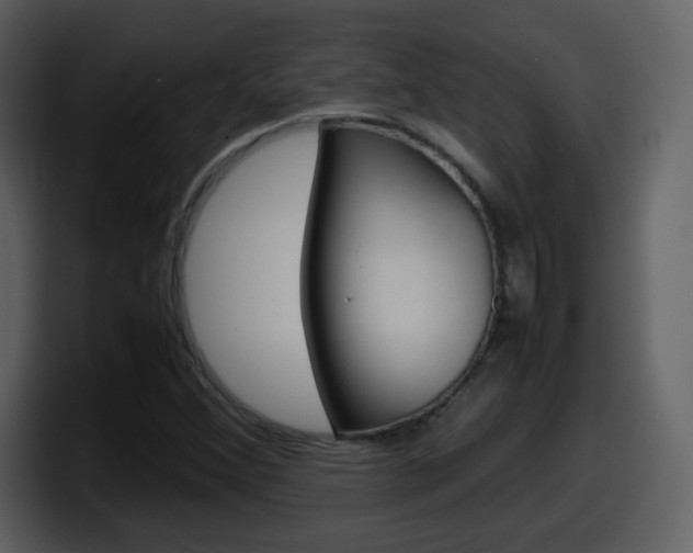 X0000098101356200804040738