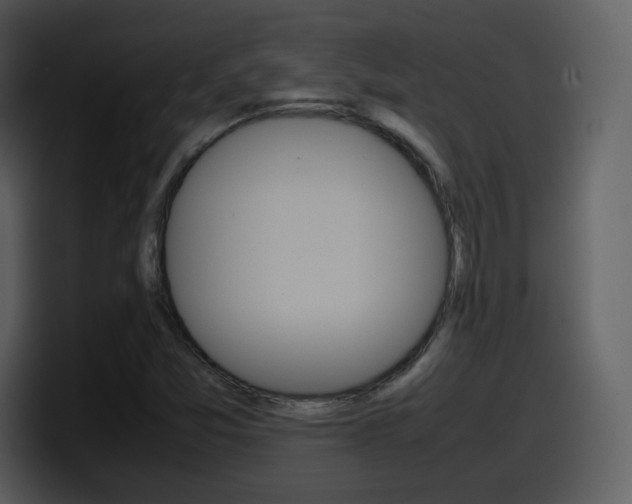X0000098101357200804040738