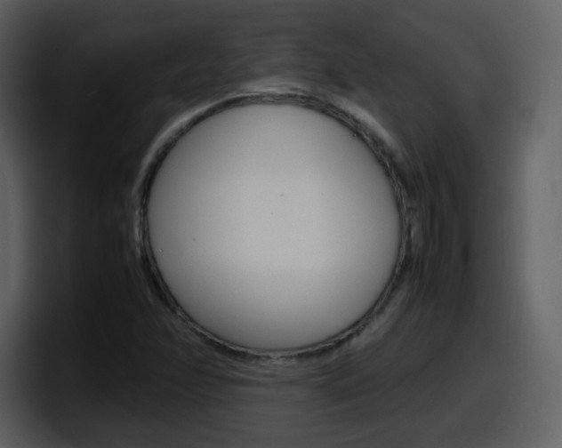 X0000098101358200804040738