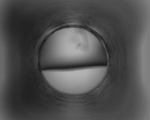 X0000098101359200804040738