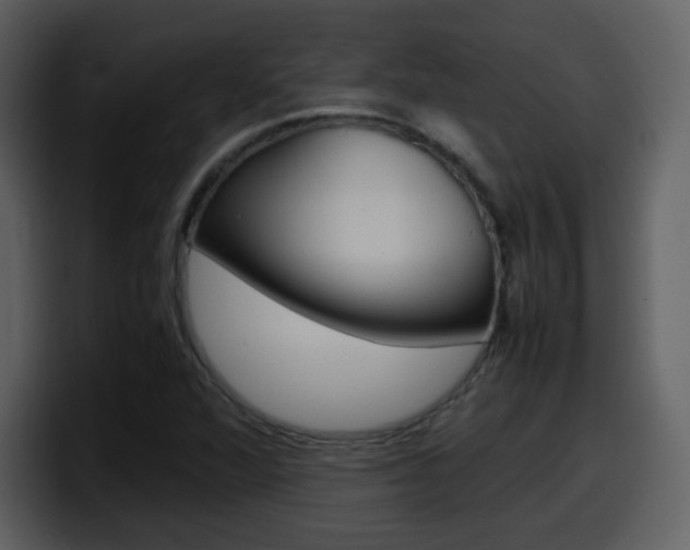 X0000098101360200804040738