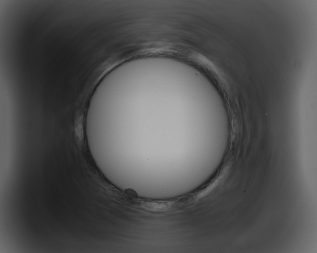 X0000098101361200804040738