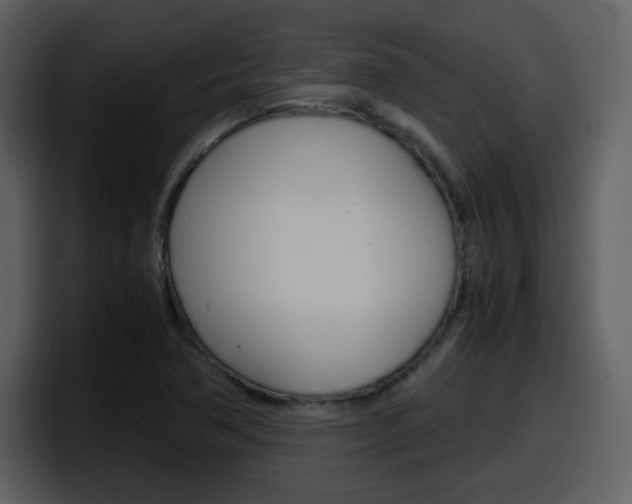X0000098101362200804040738