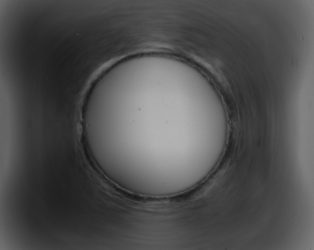 X0000098101363200804040738