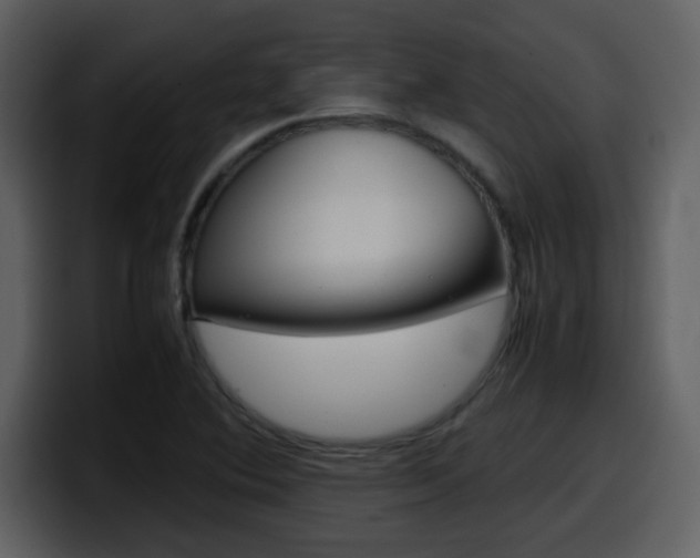 X0000098101364200804040738