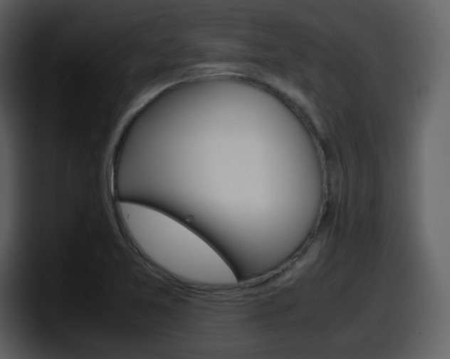 X0000098101365200804040738