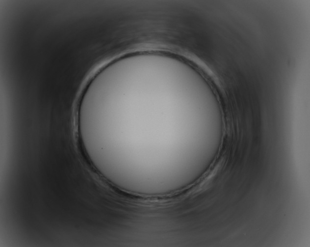 X0000098101366200804040738