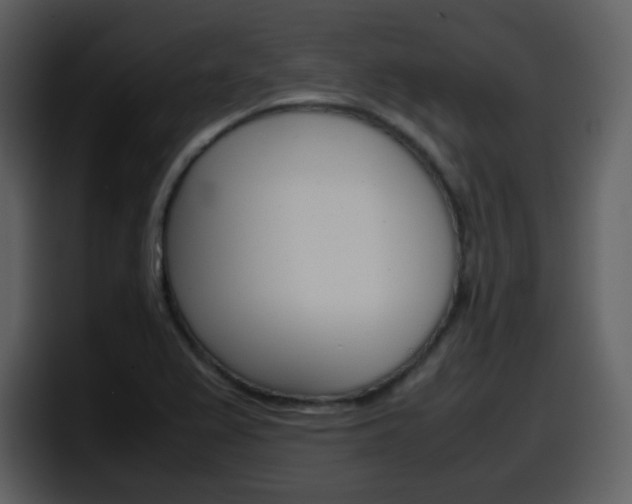 X0000098101367200804040738