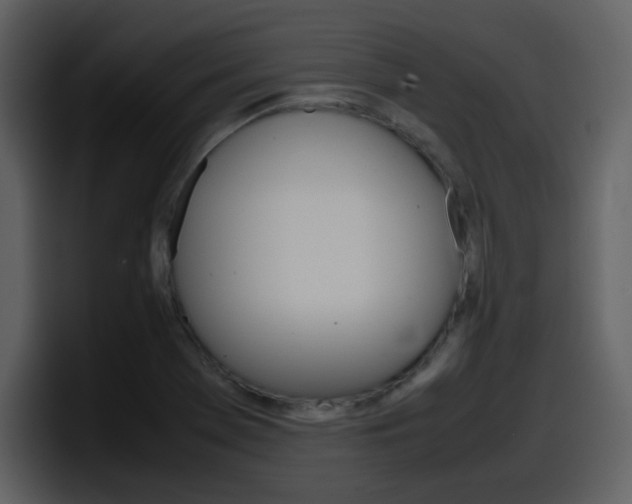 X0000098101369200804040738