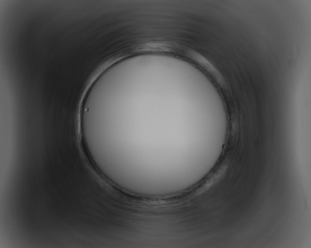 X0000098101370200804040738