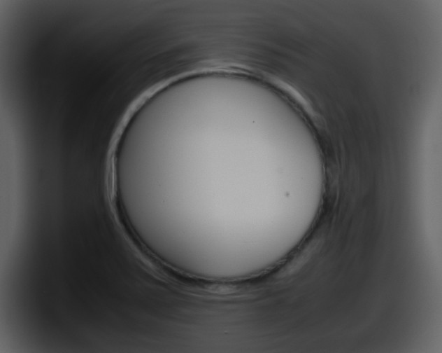 X0000098101371200804040738