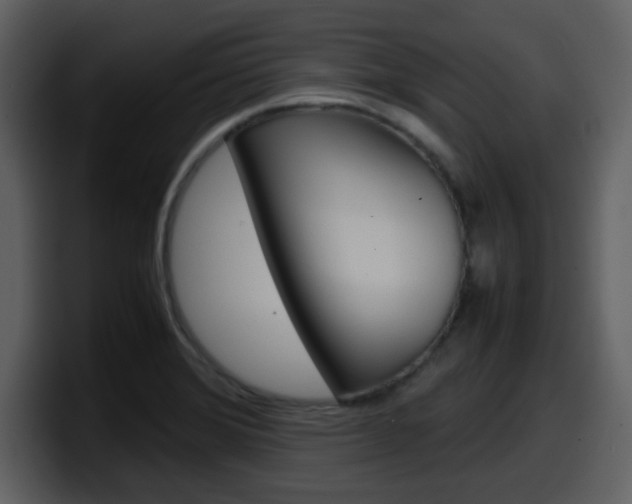 X0000098101372200804040738