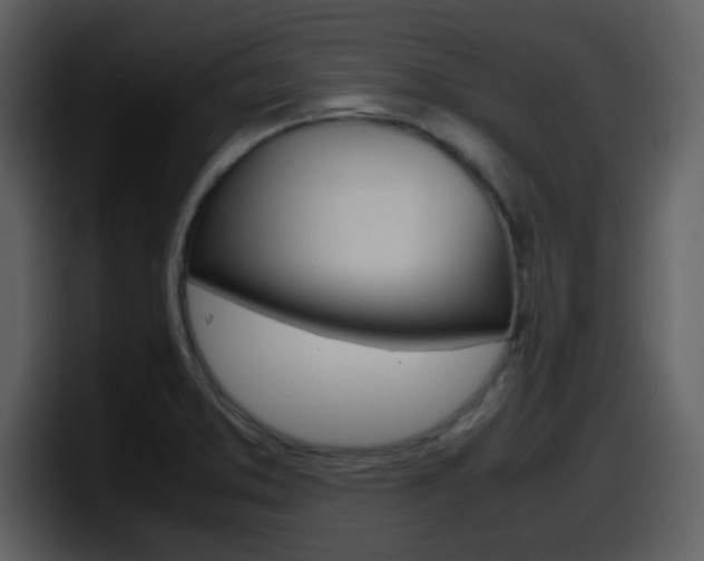 X0000098101373200804040738