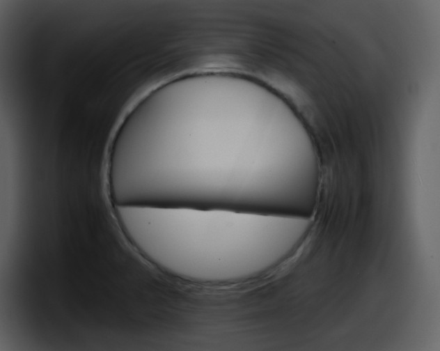 X0000098101374200804040738