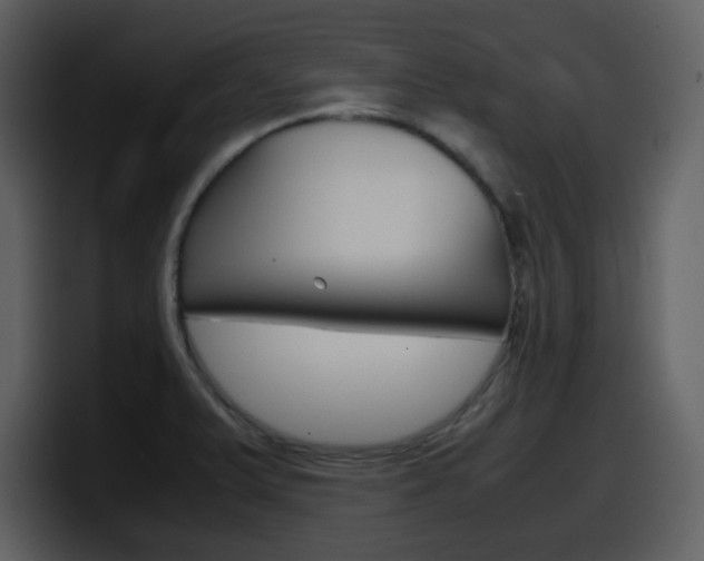 X0000098101375200804040738
