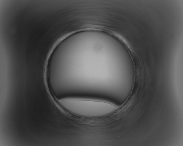 X0000098101379200804040738