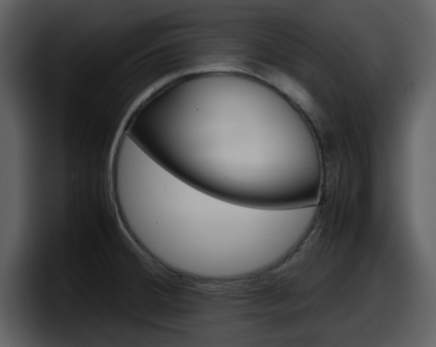 X0000098101380200804040738