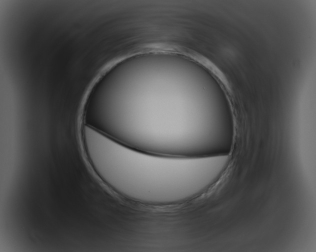 X0000098101381200804040738
