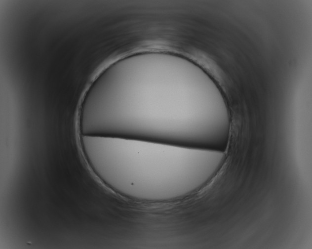 X0000098101382200804040738
