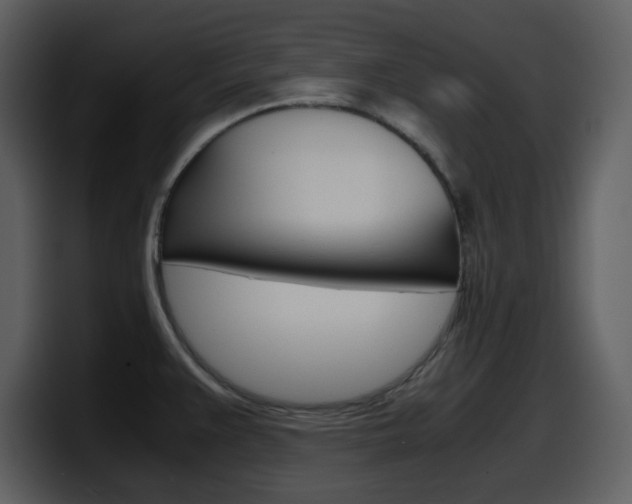 X0000098101383200804040738