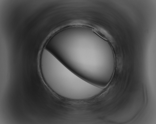 X0000098101384200804040738