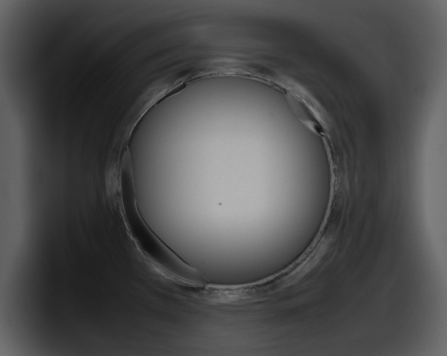 X0000098101385200804040738