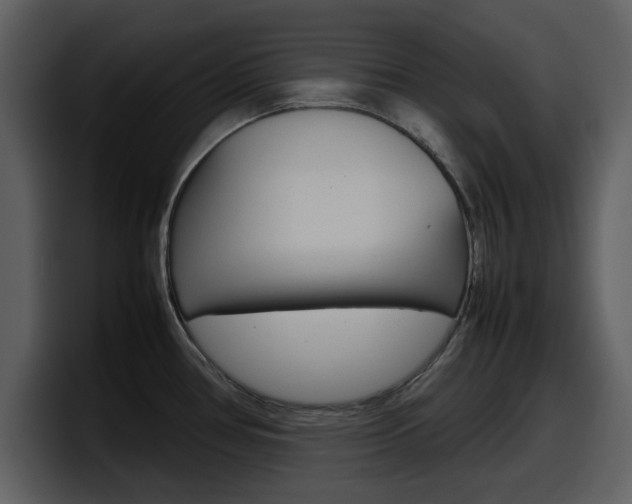 X0000098101386200804040737