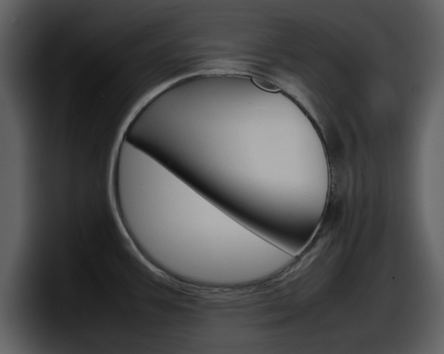 X0000098101387200804040737