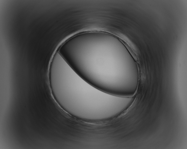 X0000098101388200804040737