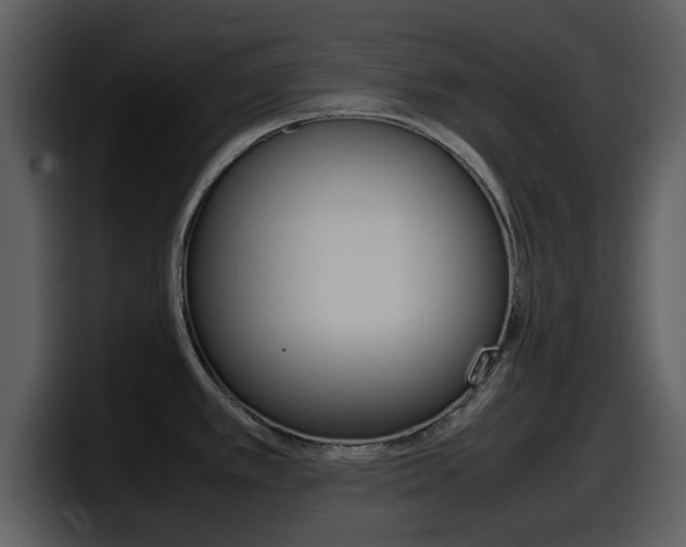 X0000098101389200804040737