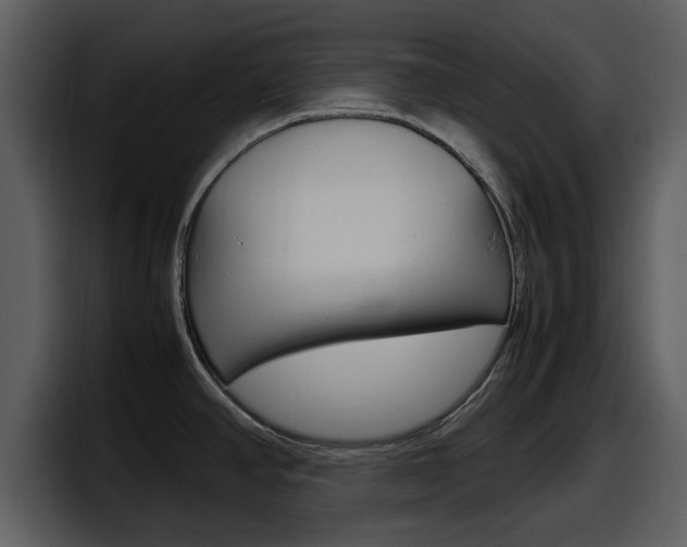 X0000098101390200804040737