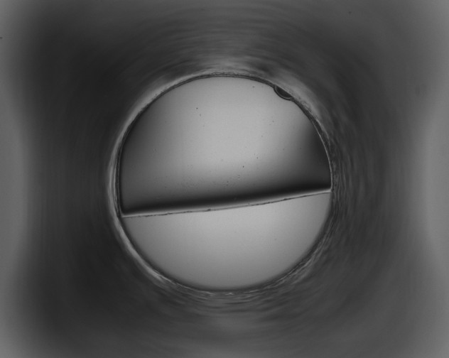X0000098101391200804040737
