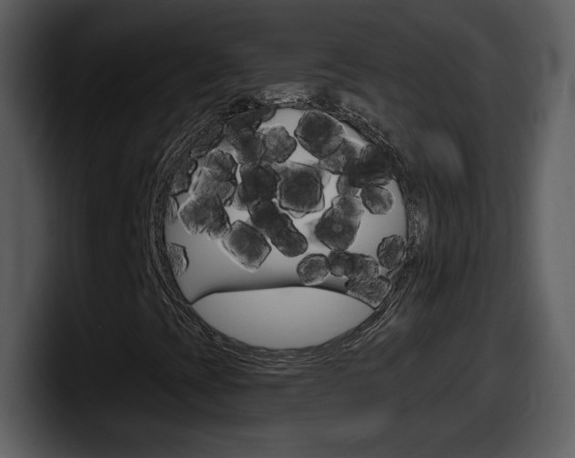 X0000098101393200804040737