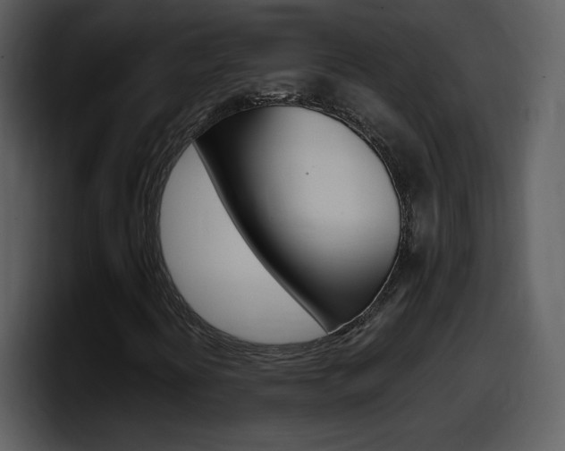 X0000098101394200804040737