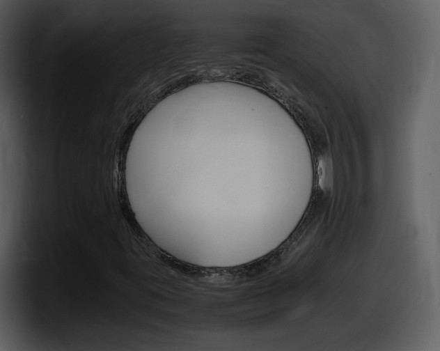 X0000098101395200804040737