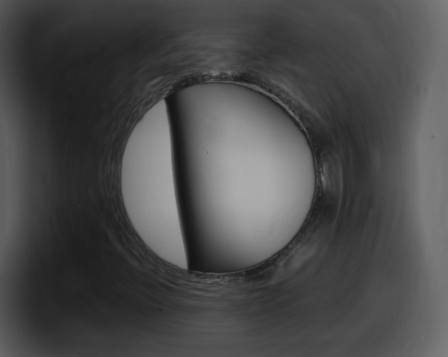 X0000098101396200804040737