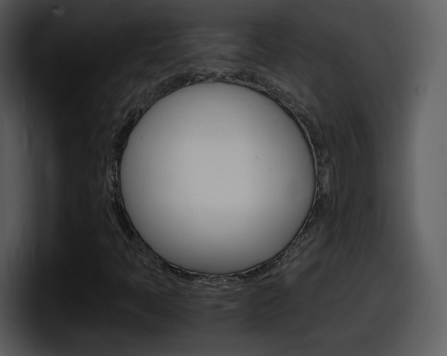 X0000098101397200804040737