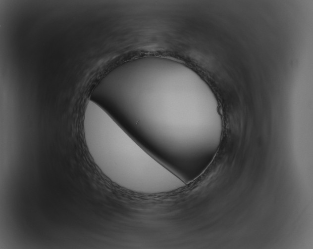 X0000098101398200804040737