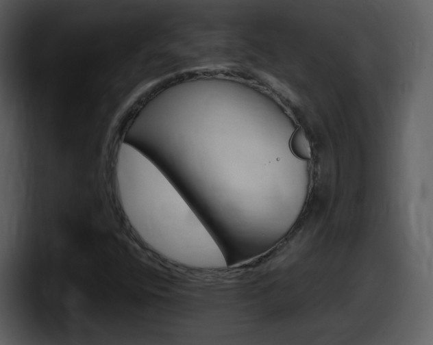 X0000098101400200804040737