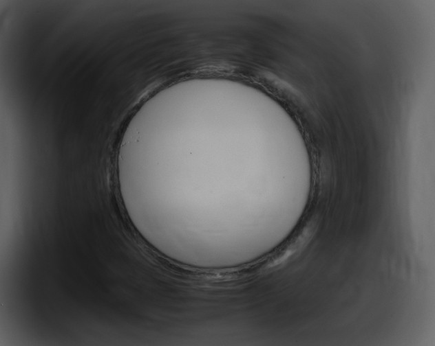 X0000098101401200804040737