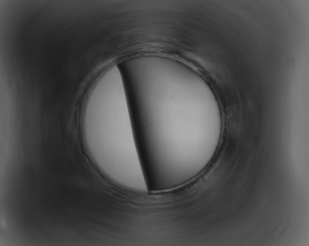 X0000098101402200804040737
