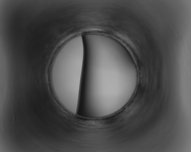 X0000098101404200804040737