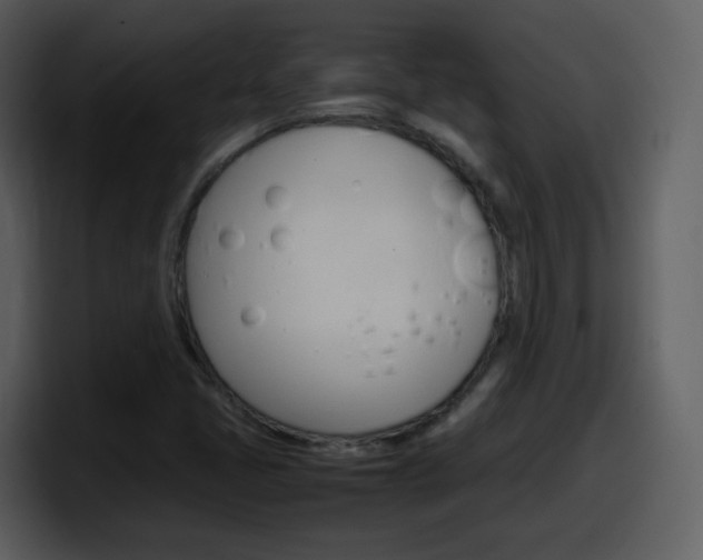 X0000098101405200804040737